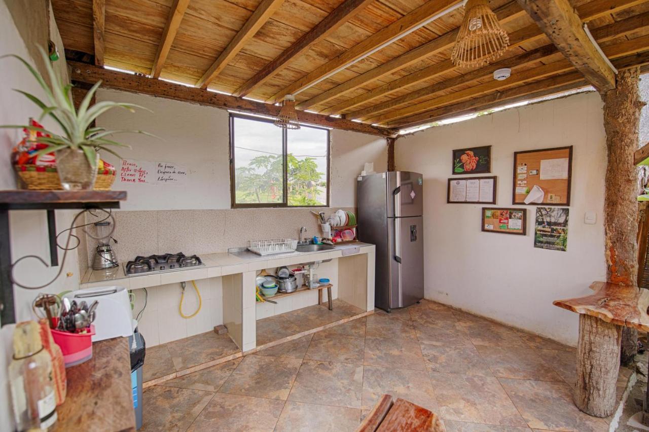 Hostal Bella Flor Palomino Esterno foto